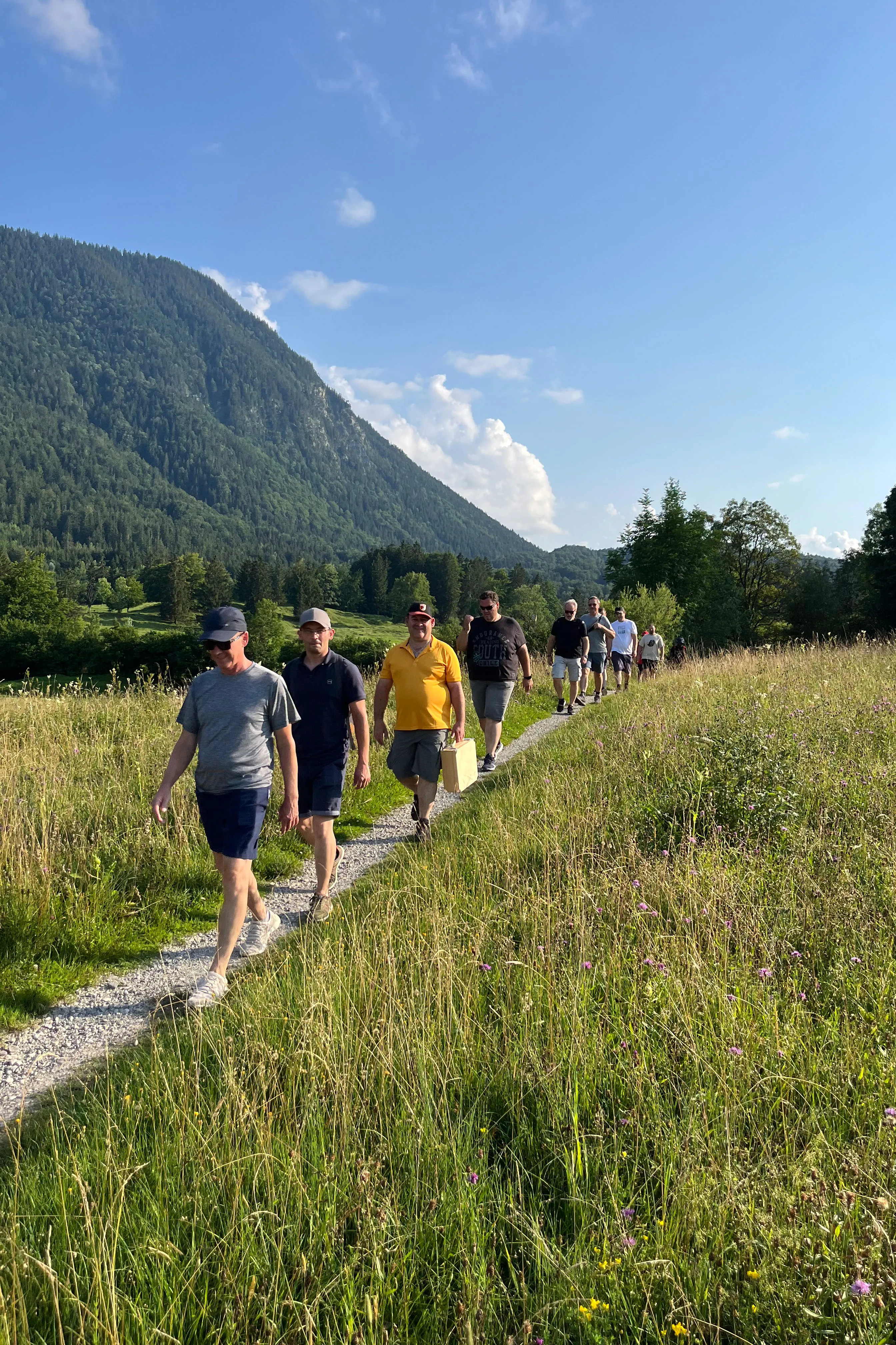Teamentwicklung in der Natur – gemeinsames Lernen und Wachstum im Teamcoaching Workshop