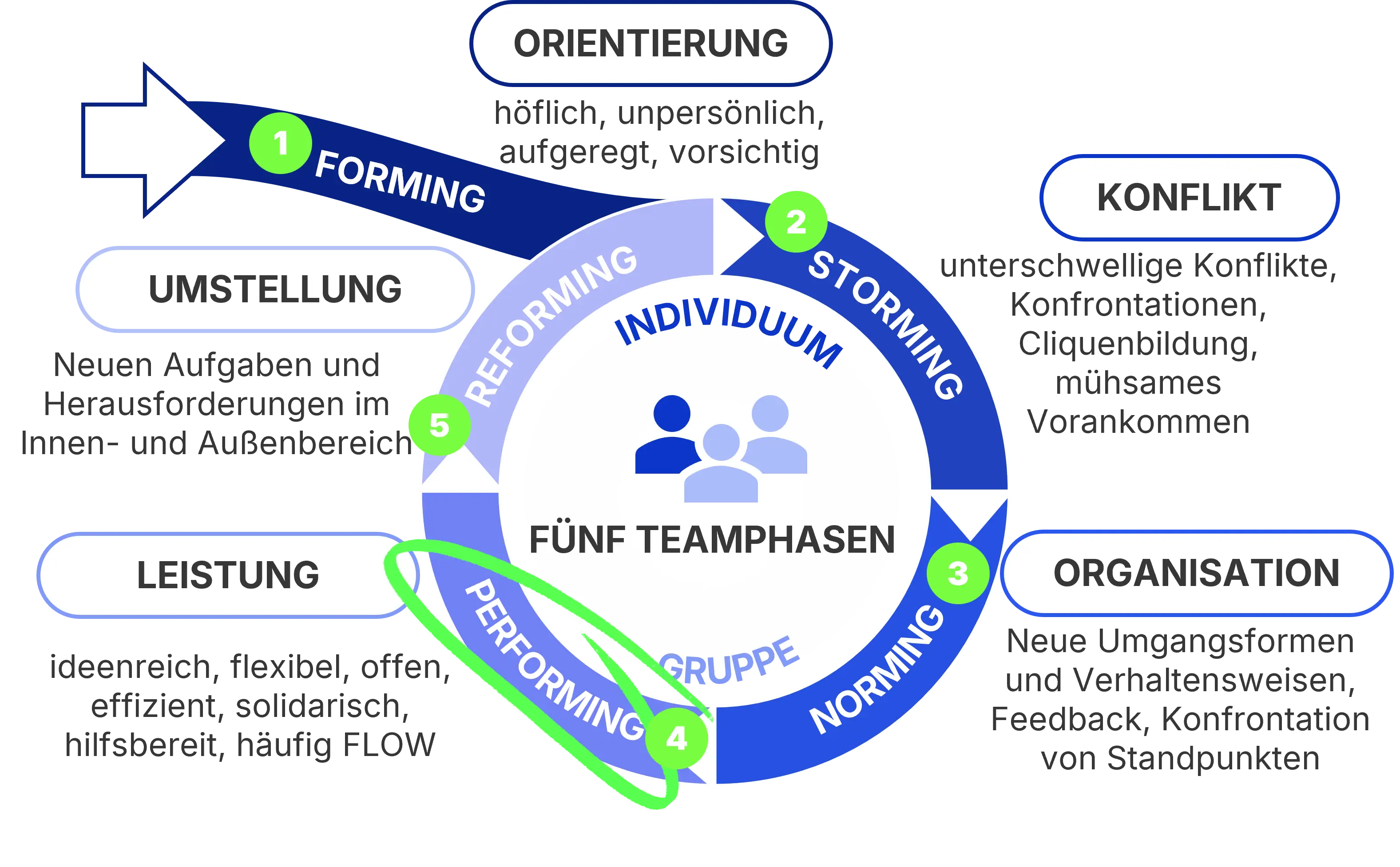 Die 5 Teamphasen nach Tuckman als Grundlage für Teamcoaching und Teambuilding Coach Workshops